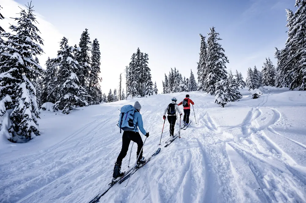 ski